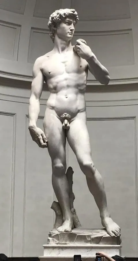 Dependace Il David Di Michelangelo Apartment Florence 0*,  Italy